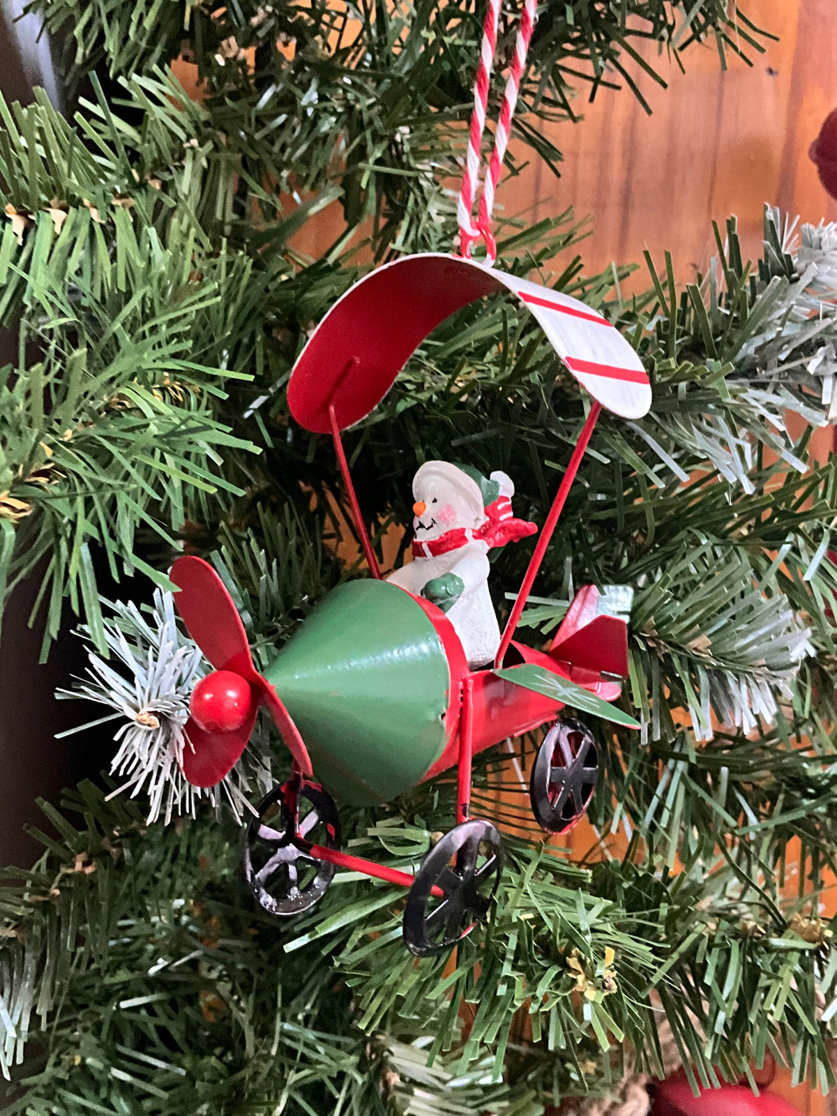 Snowman in a Plane