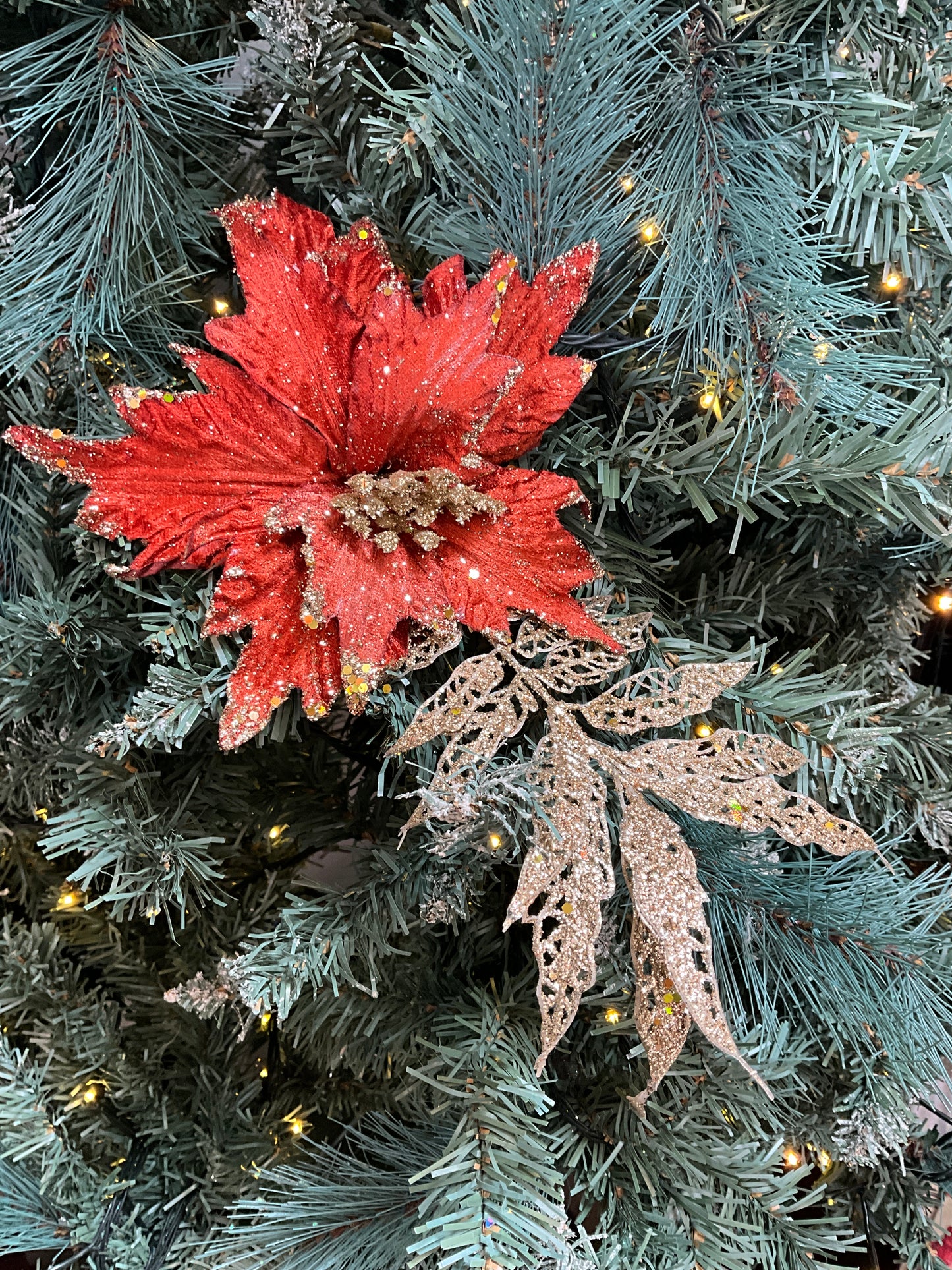 Orange Poinsettia with Leaf