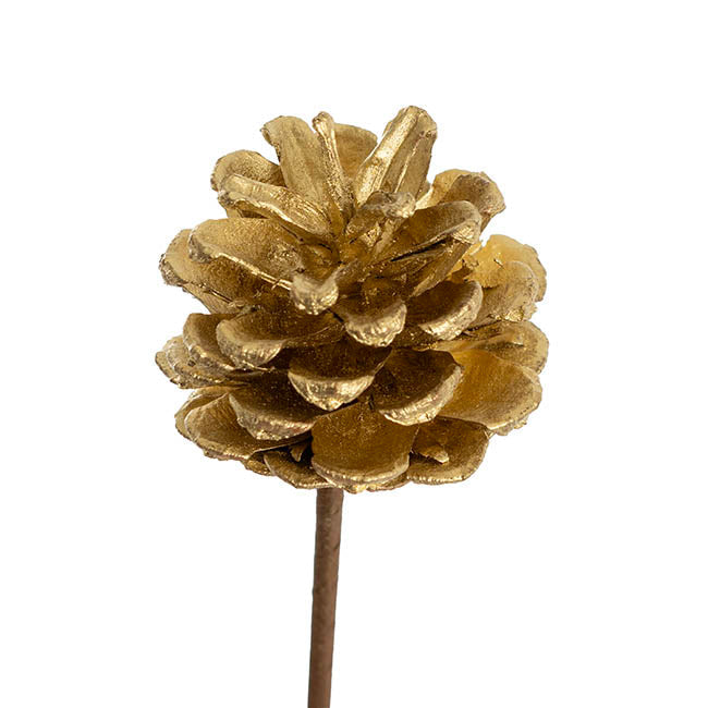 Gold Pinecone Bunch