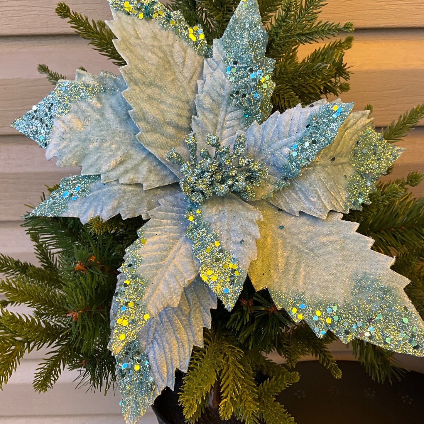 Soft Teal Poinsettia
