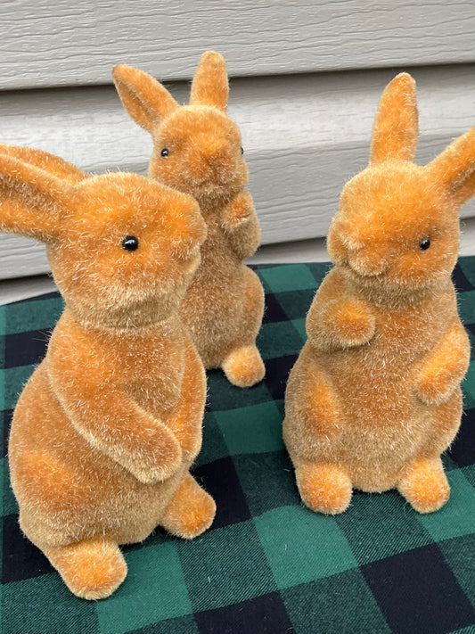 Three Brown Bunnies