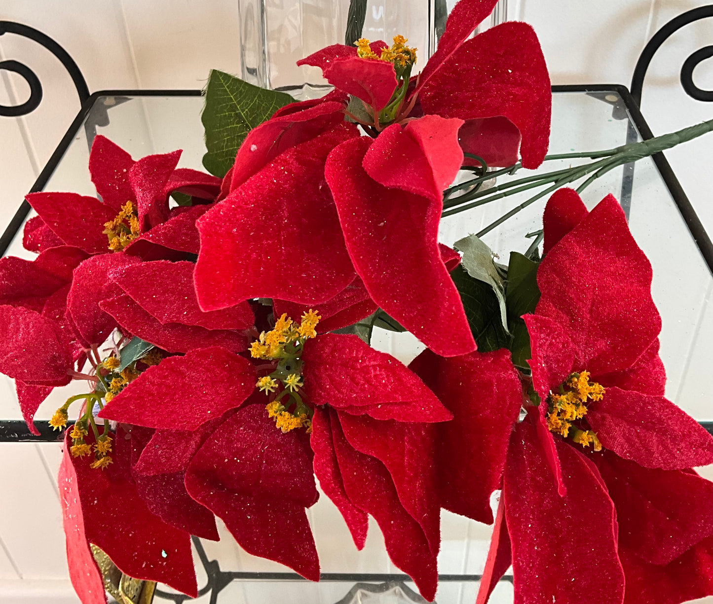 Poinsettia Bunch