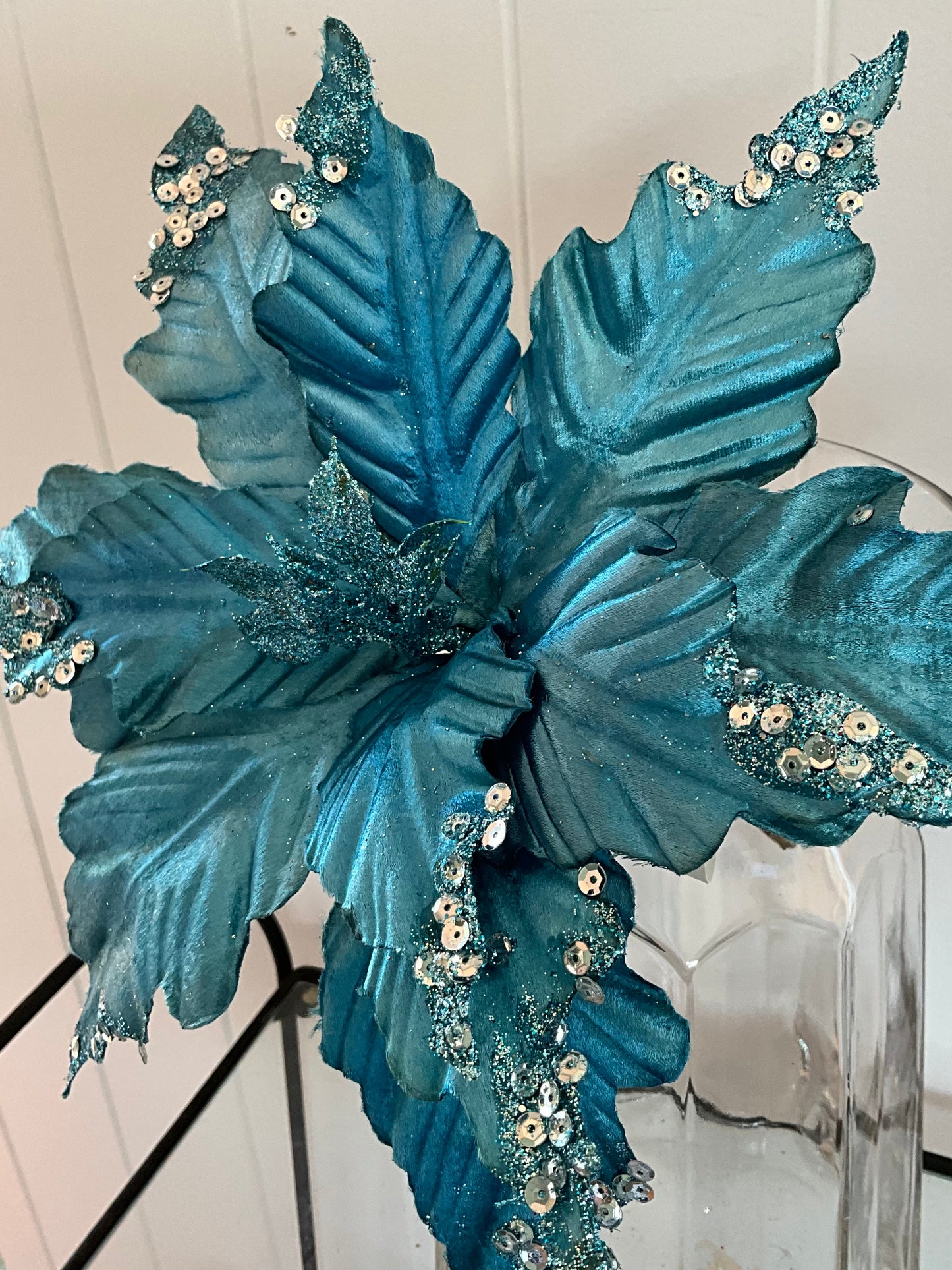 Turquoise Blue Poinsettia