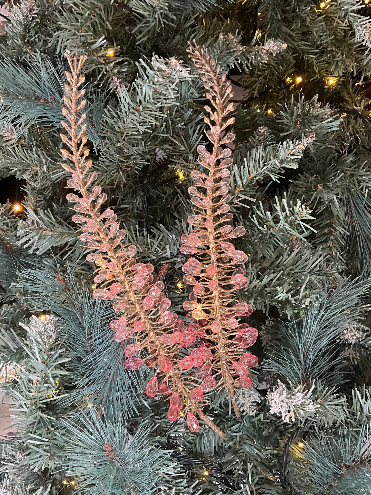 Pink Crystal Foxtail