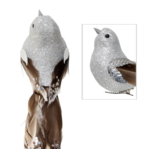 Silver Brown Bird