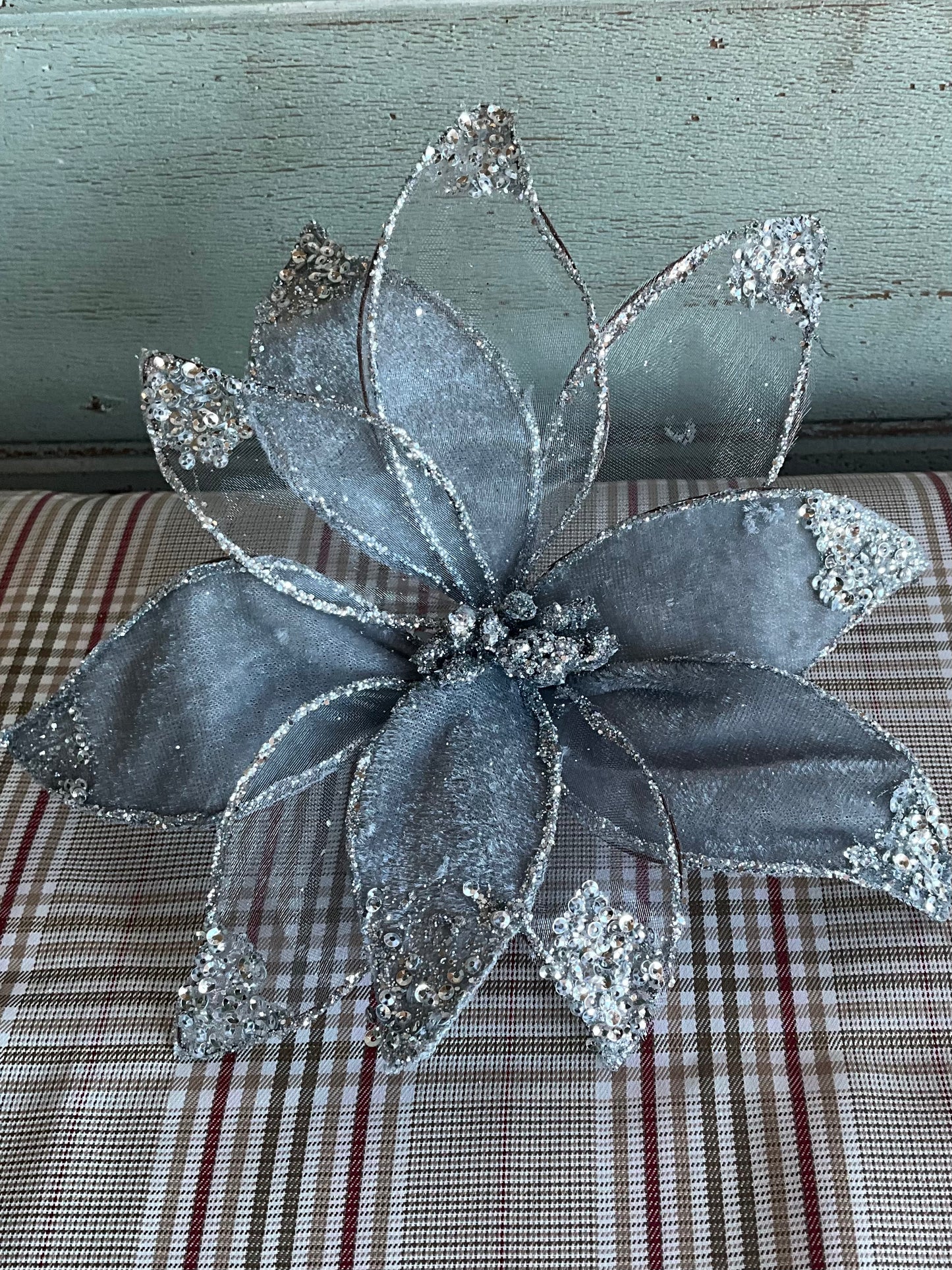 Silver Velvet Poinsettia