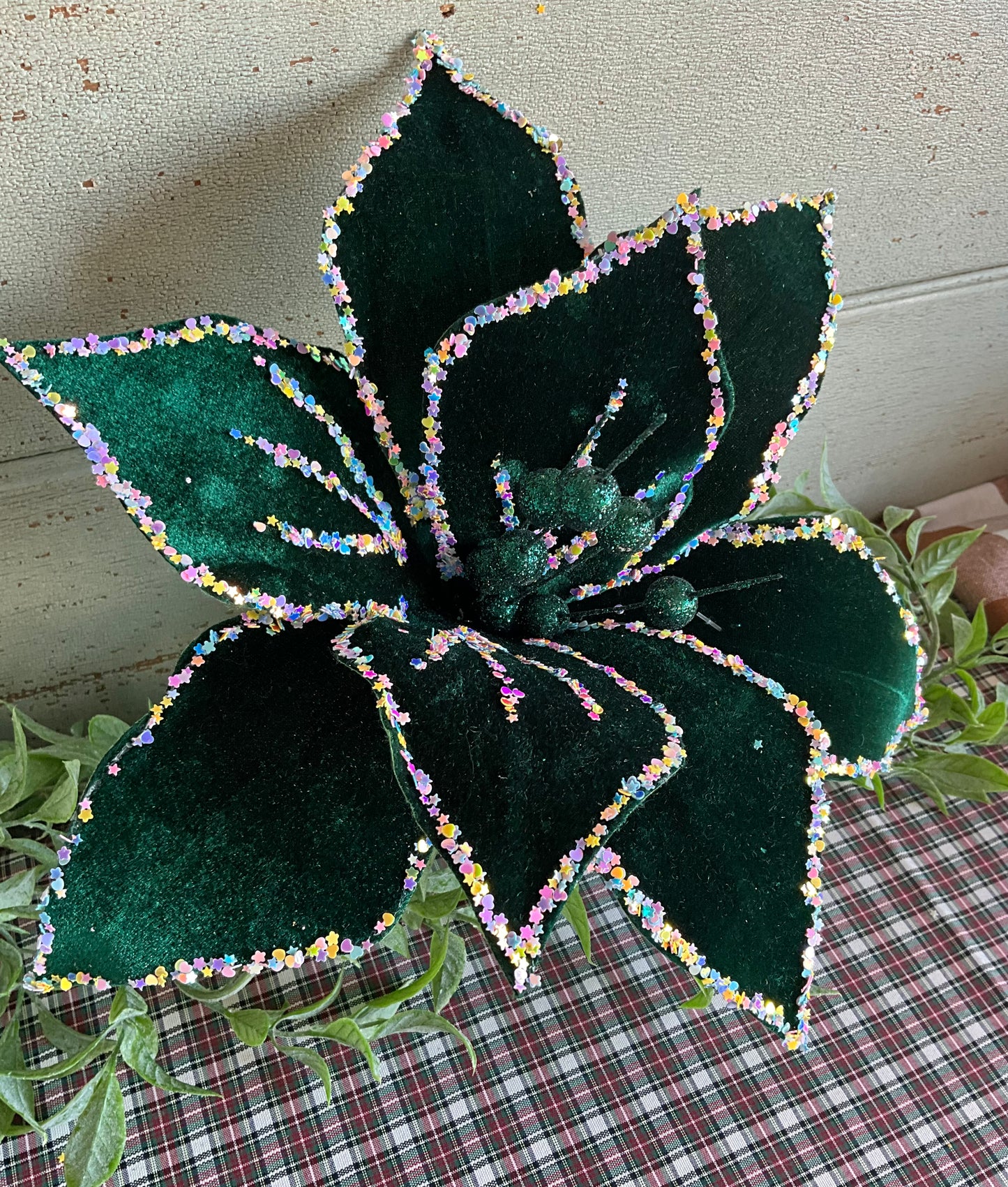 Dark Green Starry Poinsettia