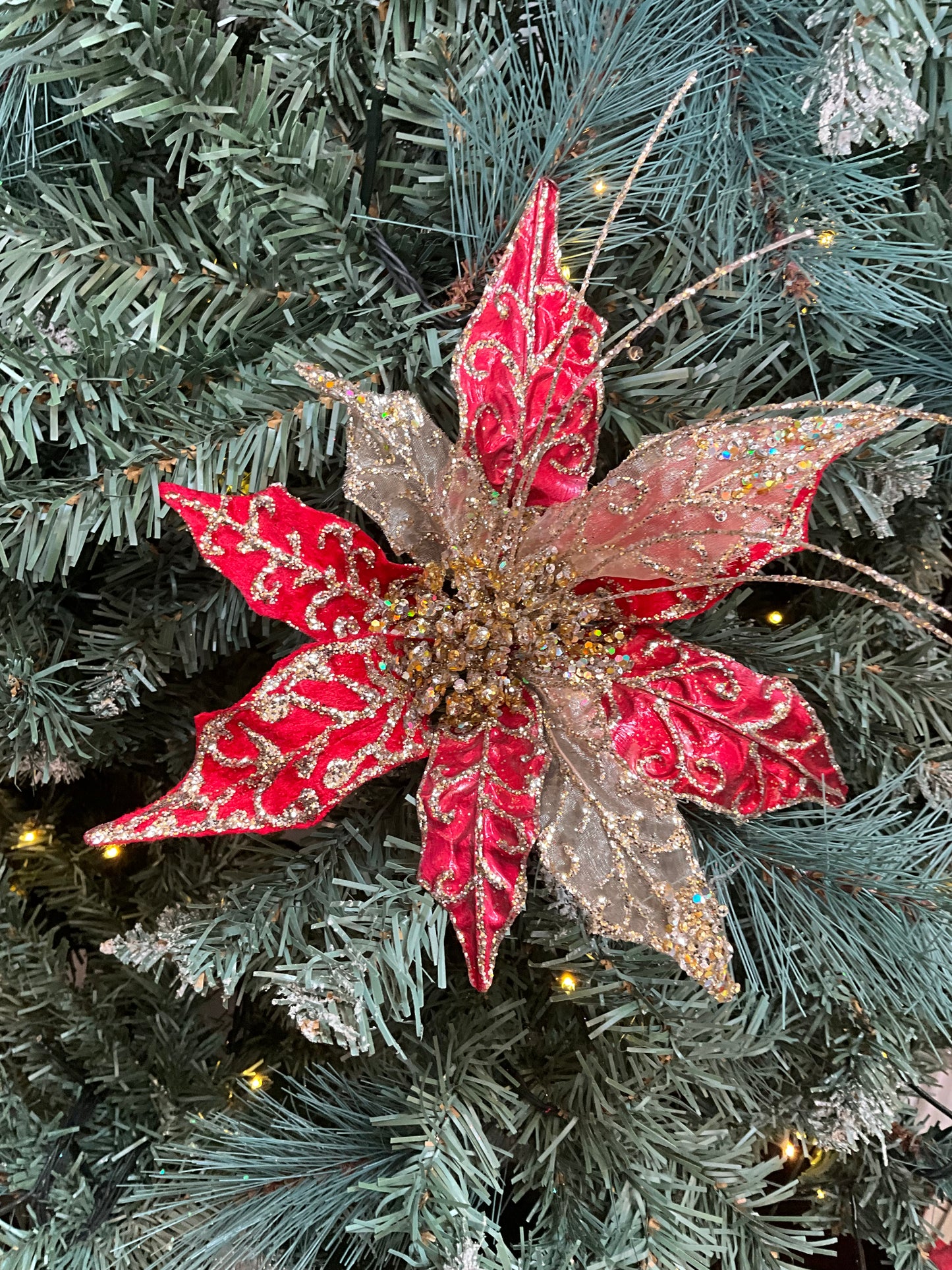 Red Gold Sheer Poinsettia