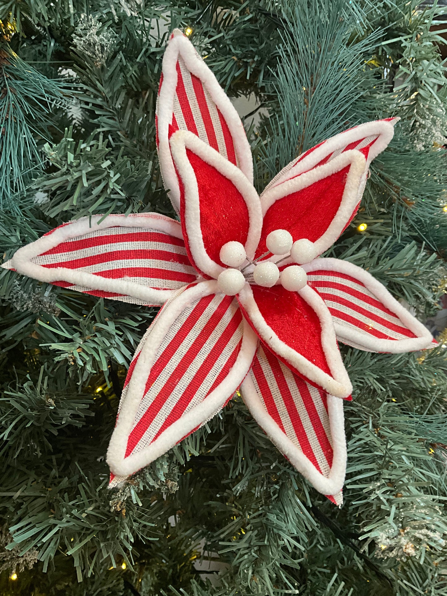 Candy Cane Poinsettia