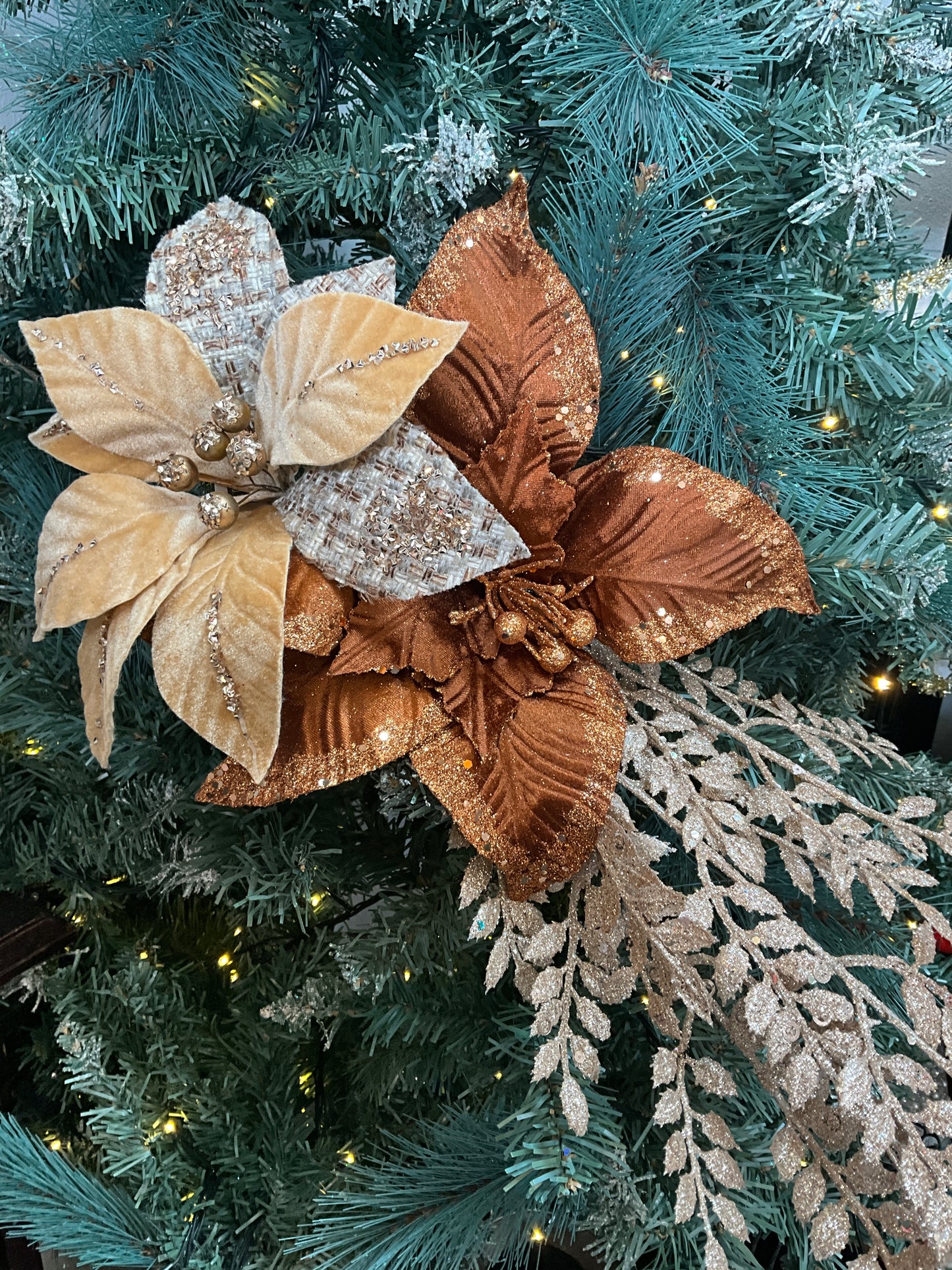 Copper Brown Poinsettia
