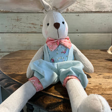 Load image into Gallery viewer, Blue Master Bunny Plush