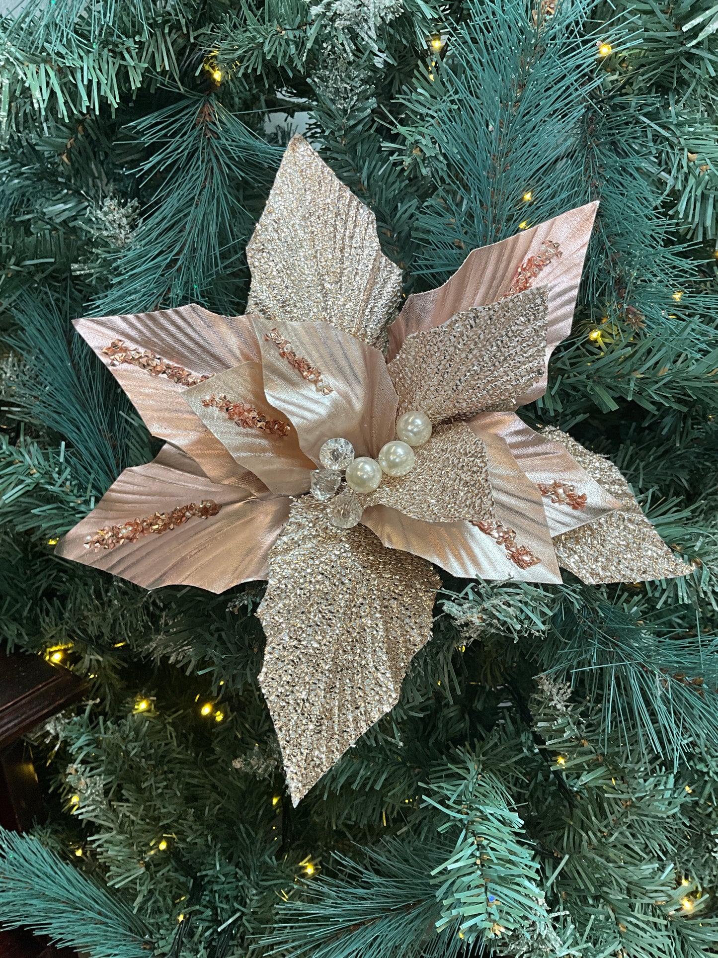 Pale Pink Poinsettia