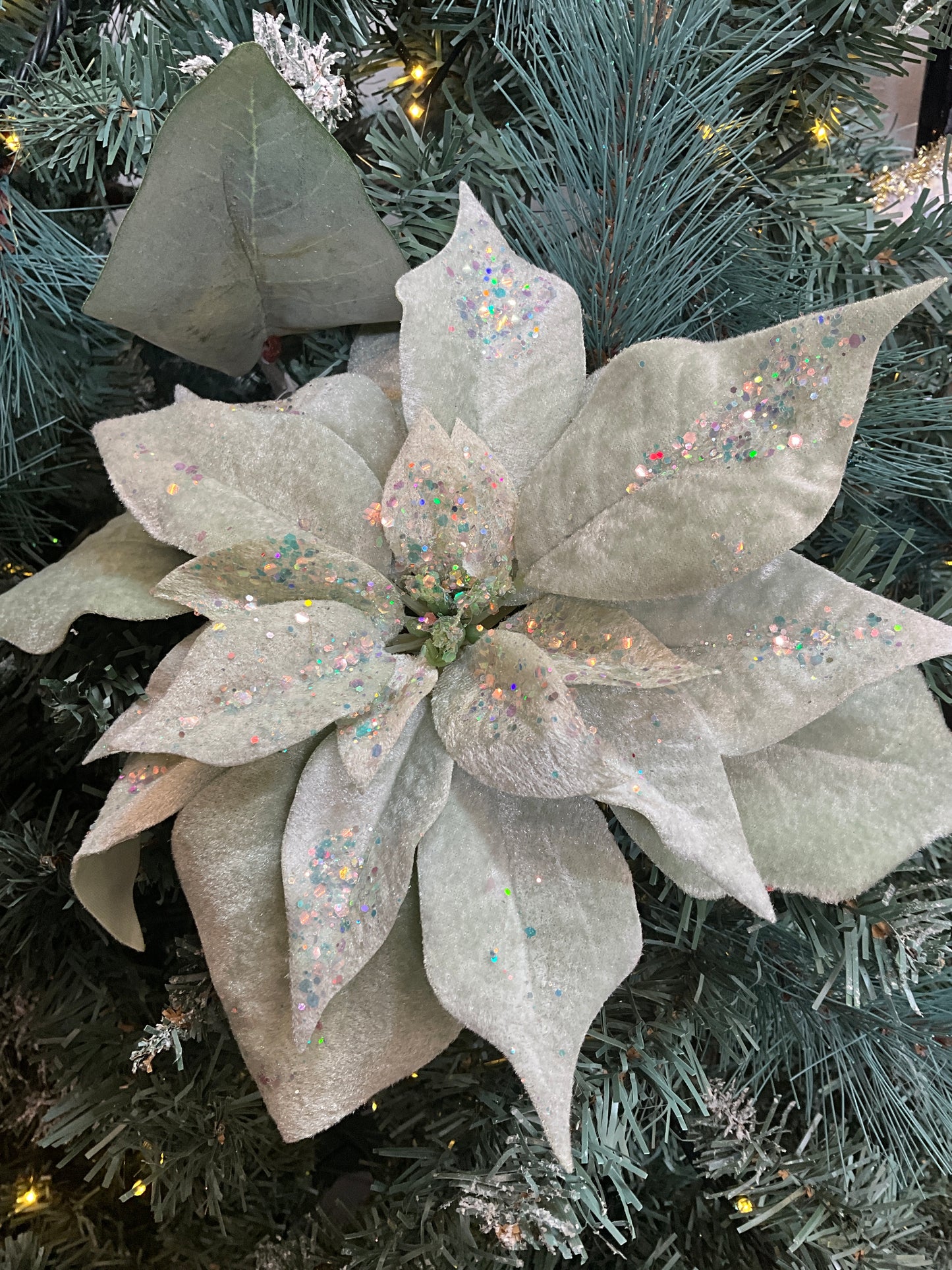 Sage Velvet Poinsettia