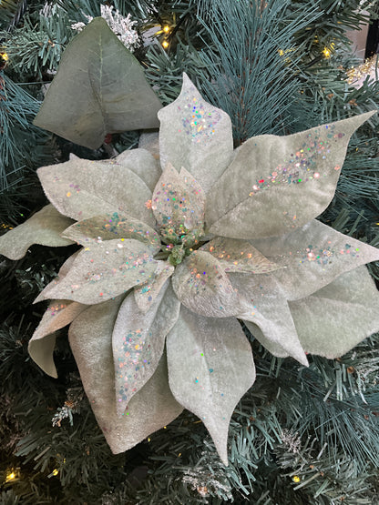 Sage Velvet Poinsettia