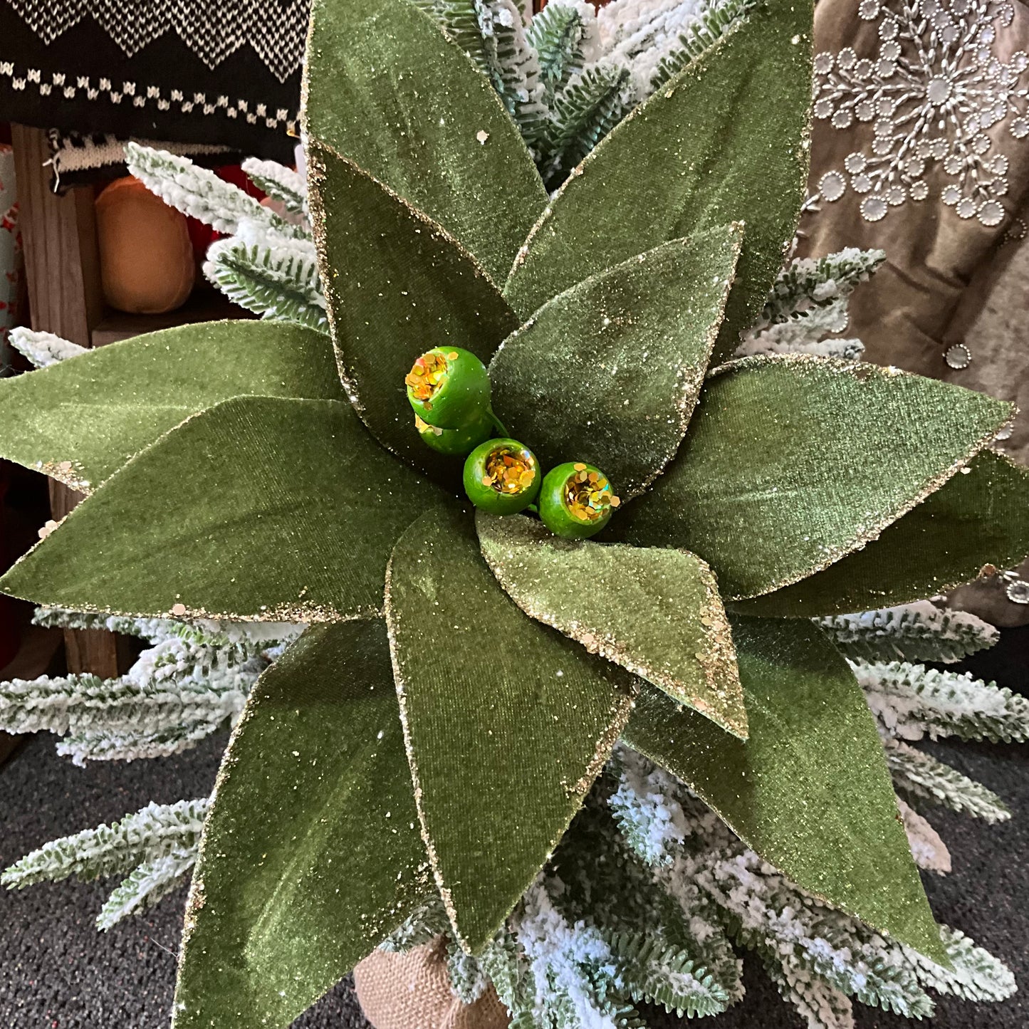 Olive Green Poinsettia