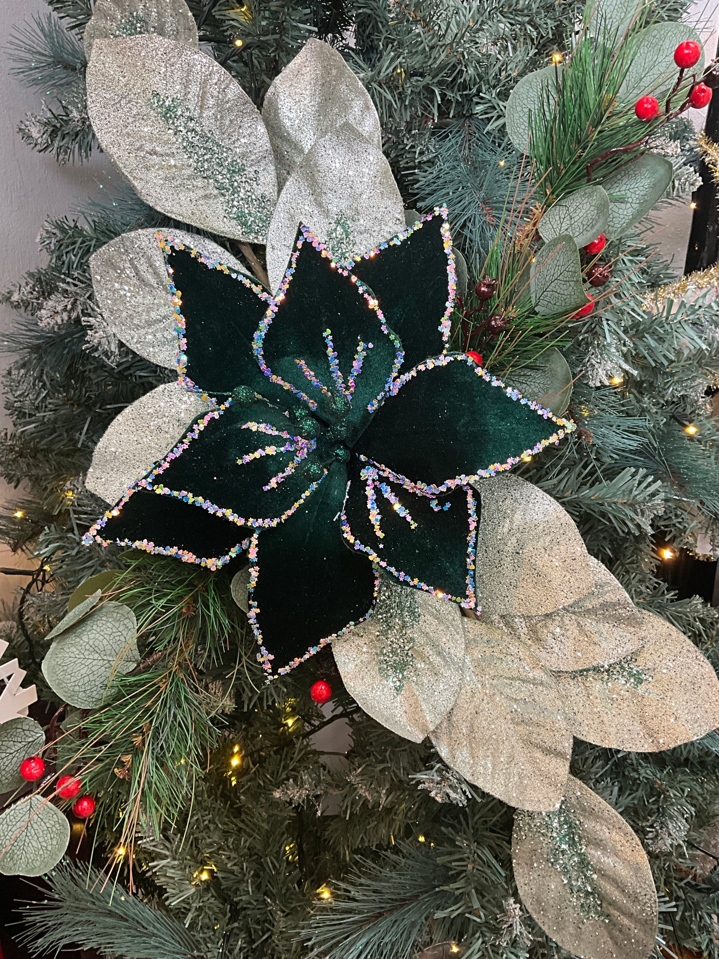 Dark Green Starry Poinsettia