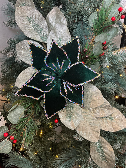 Dark Green Starry Poinsettia