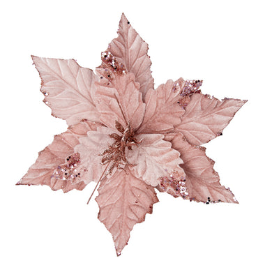 Musk Pink Glitter Poinsettia