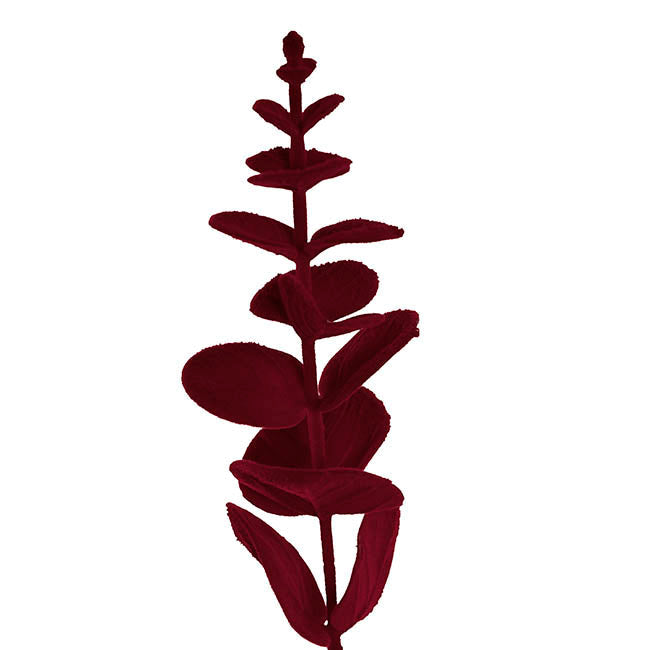 Burgundy Eucalyptus Spray