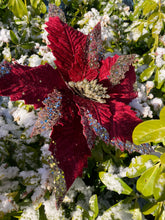 Load image into Gallery viewer, Burgundy Champagne Poinsettia