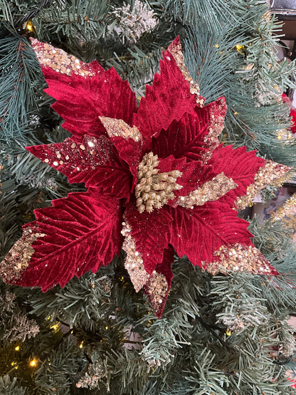 Burgundy Poinsettia