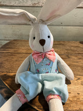 Load image into Gallery viewer, Blue Master Bunny Plush