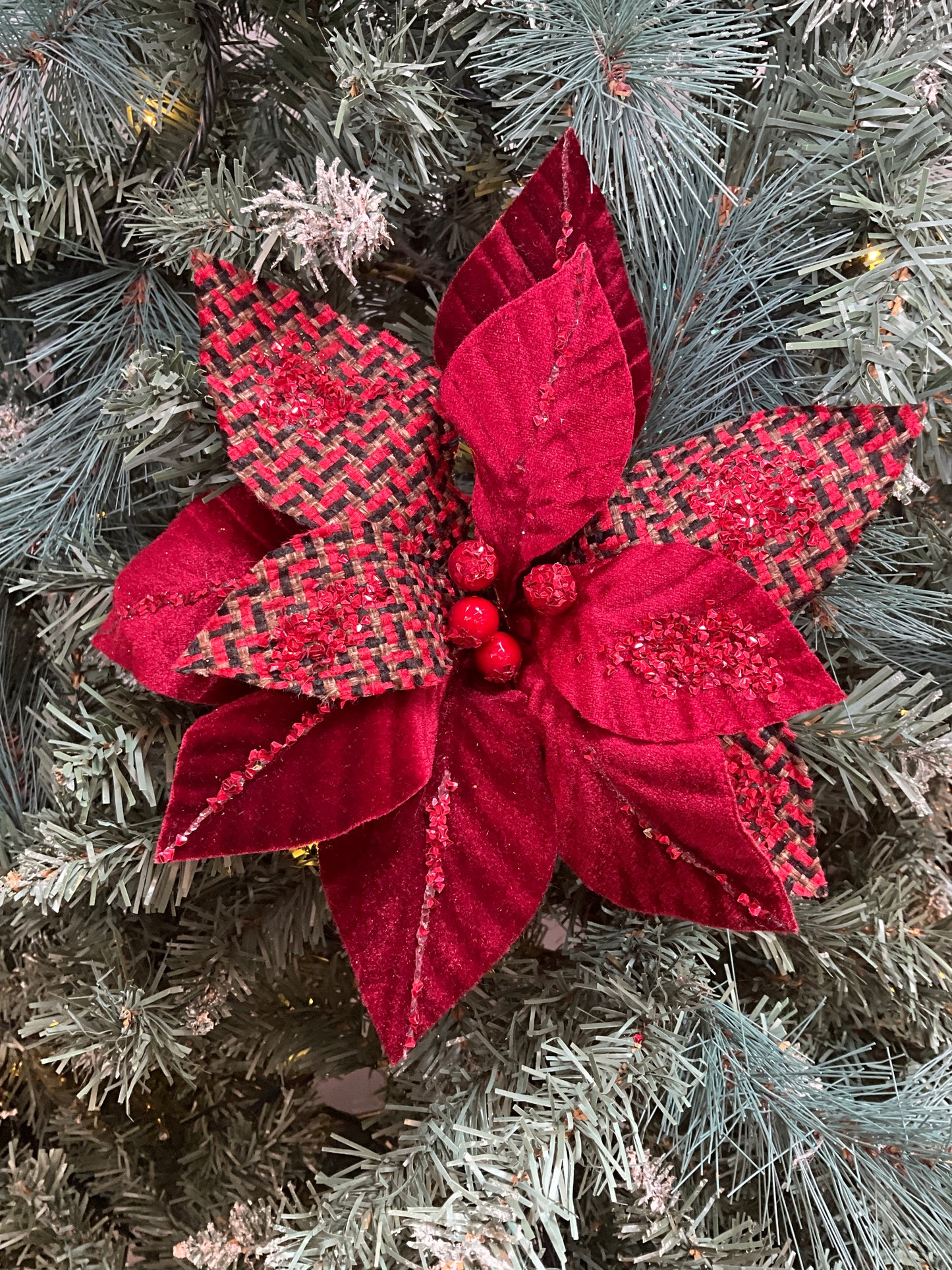 Burgundy Tartan Poinsettia