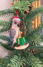 Load image into Gallery viewer, Kookaburra Decoration