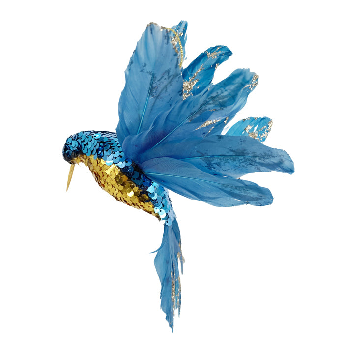 Coming Soon - Blue Hummingbird