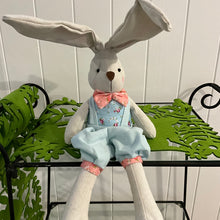 Load image into Gallery viewer, Blue Master Bunny Plush