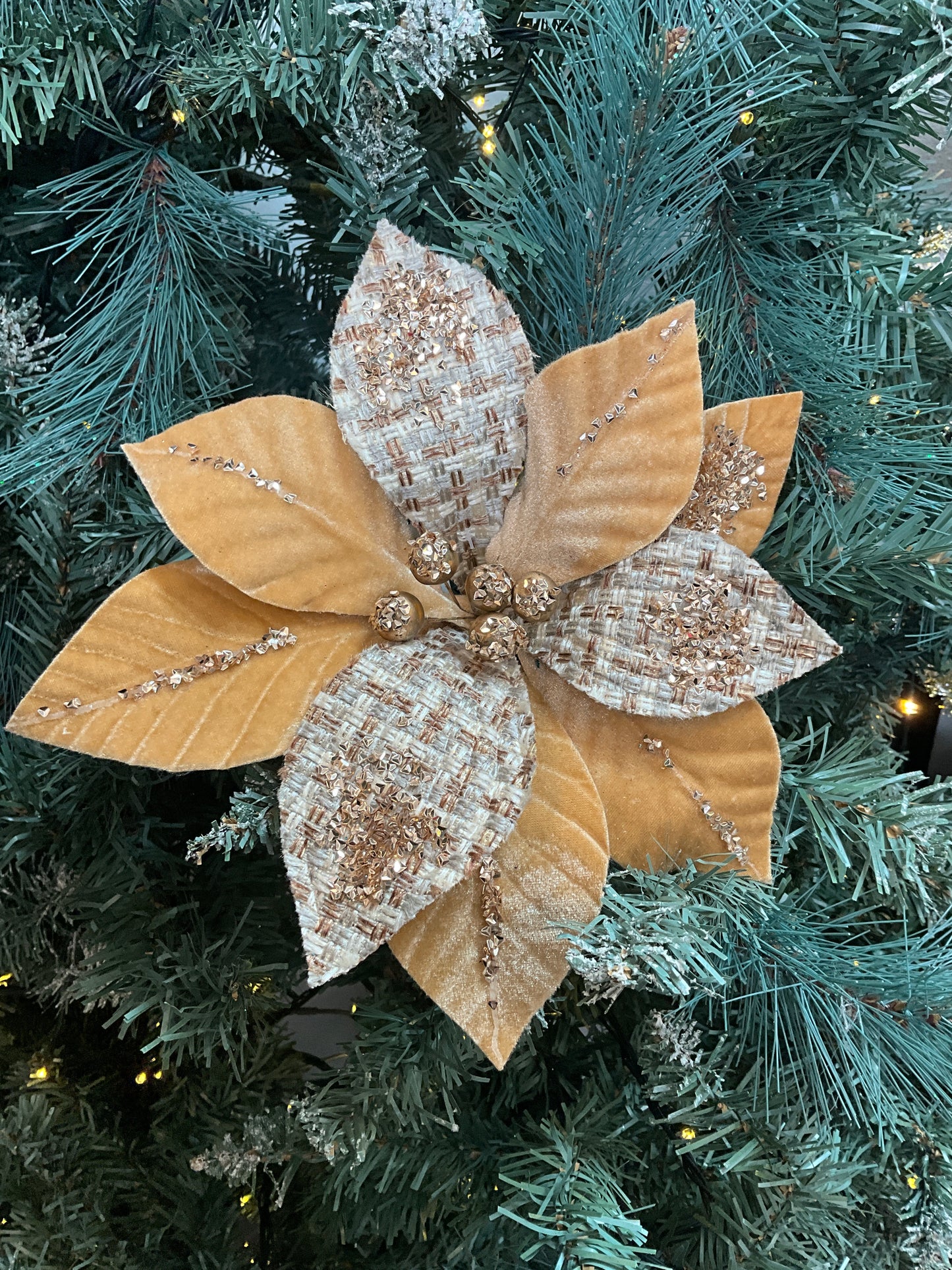 Gold Tartan Poinsettia