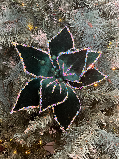 Dark Green Starry Poinsettia