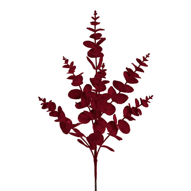 Burgundy Eucalyptus Spray