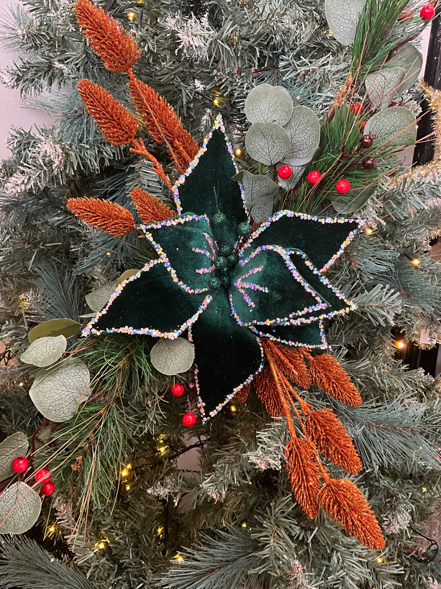 Dark Green Starry Poinsettia