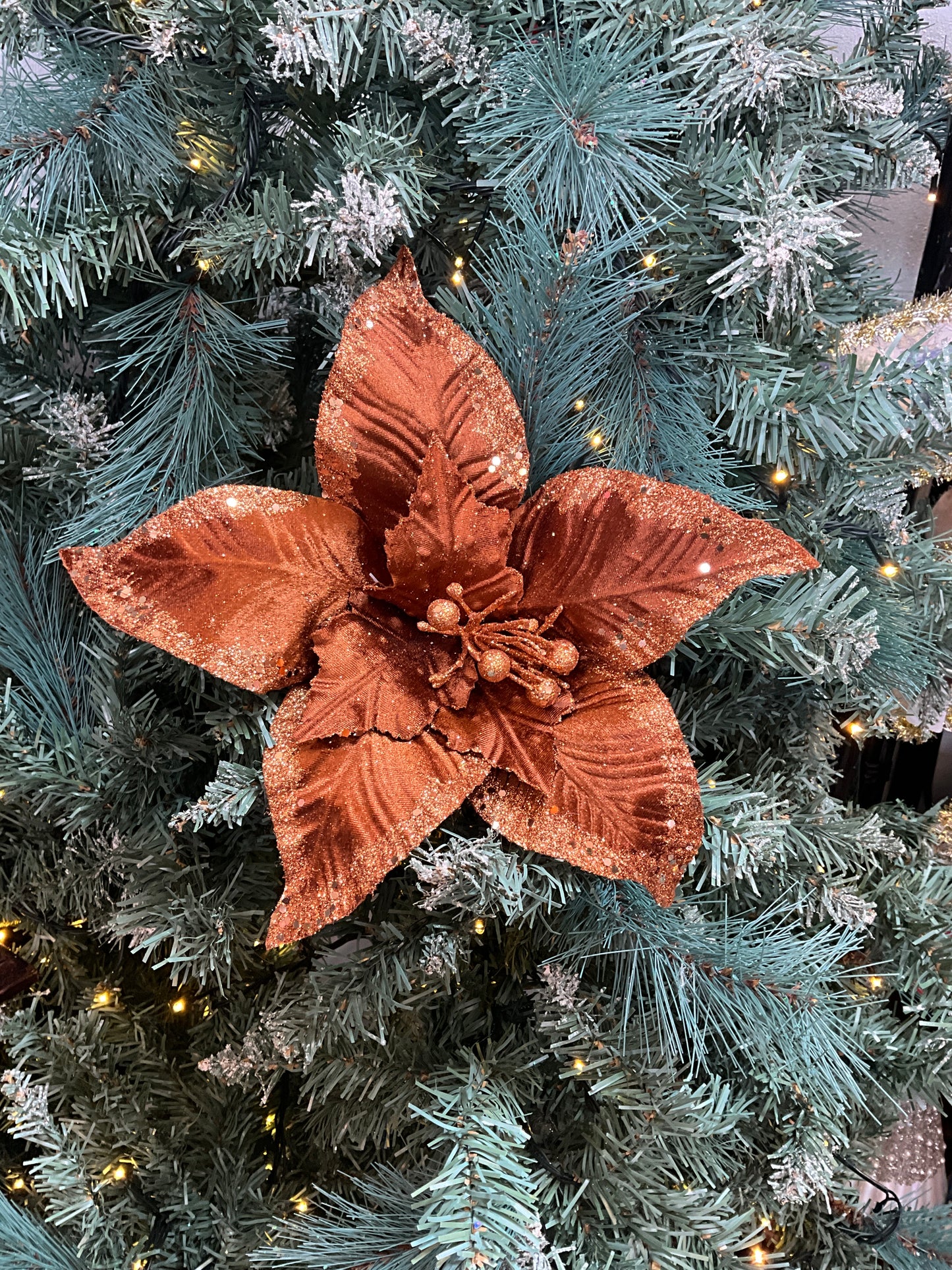 Copper Brown Poinsettia