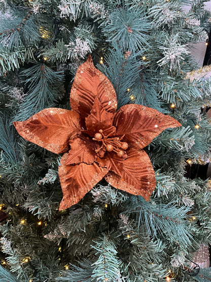 Copper Brown Poinsettia