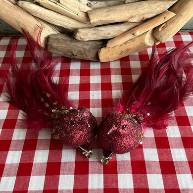 Crimson Red Bird
