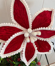 Load image into Gallery viewer, Red Pompom Poinsettia