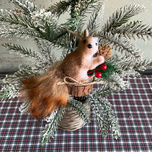 Squirrel Decoration