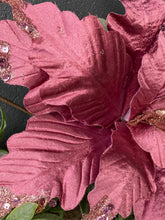 Load image into Gallery viewer, Raspberry Pink Poinsettia