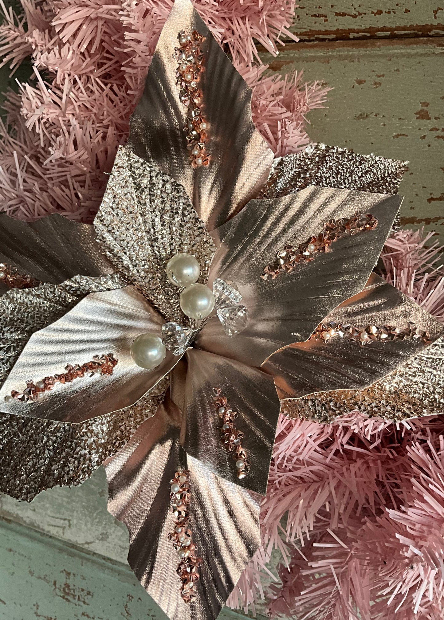 Pale Pink Poinsettia