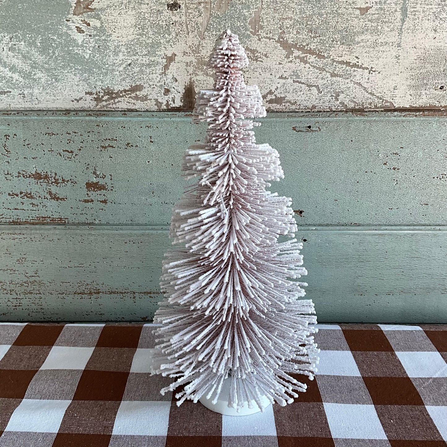 Coffee Icelandic Tree