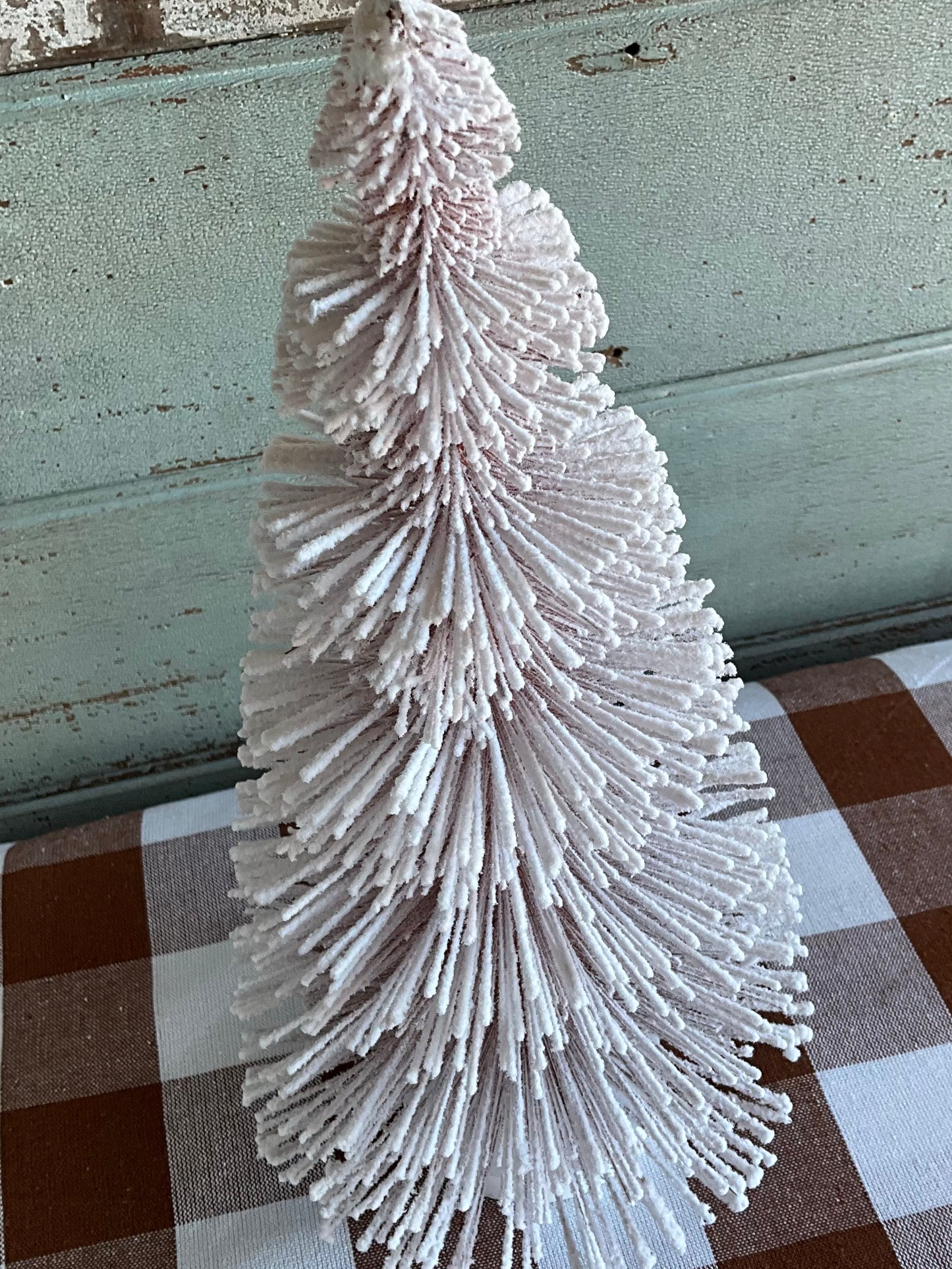 Coffee Icelandic Tree