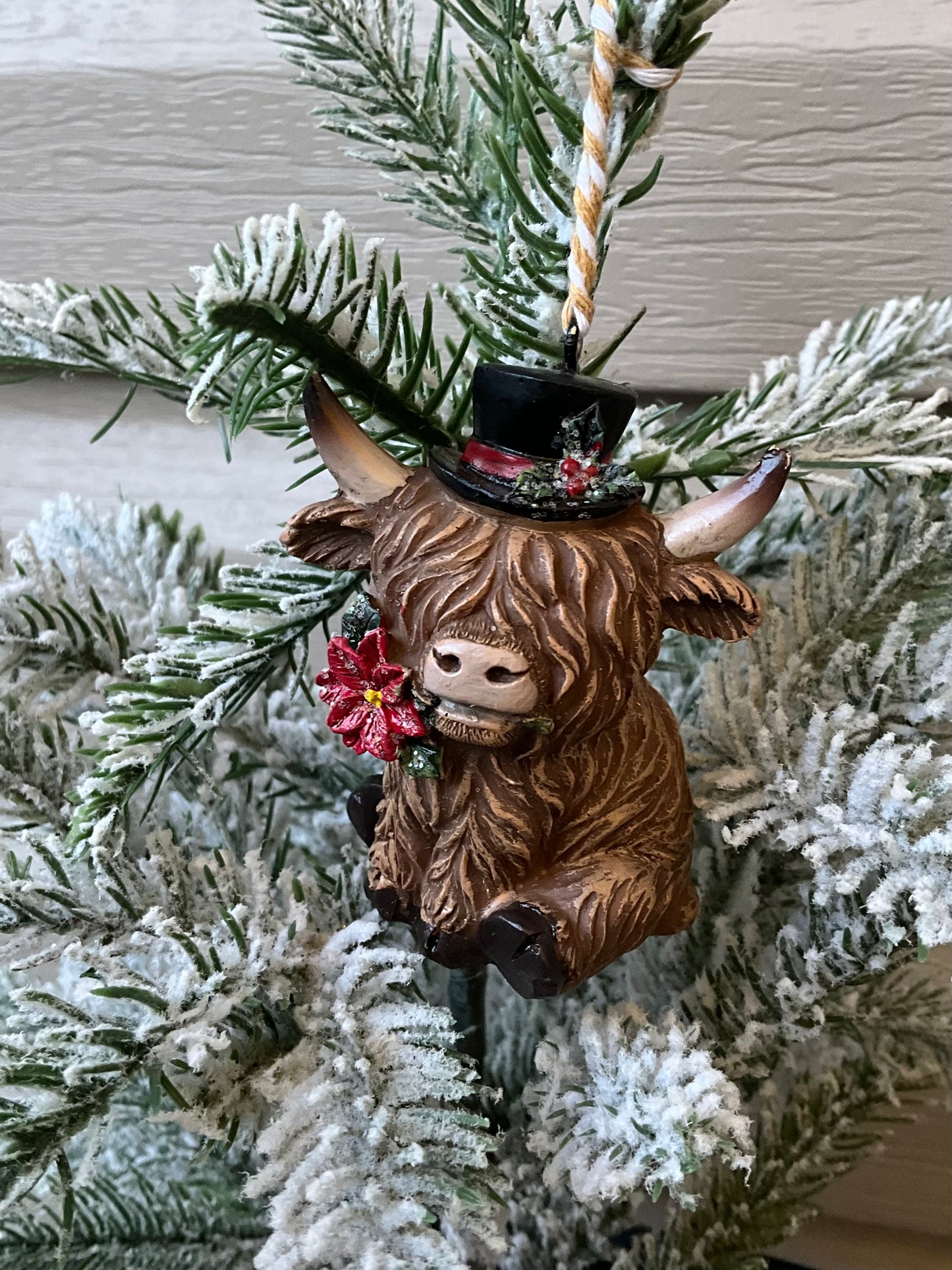 Highland Cattle with Top Hat