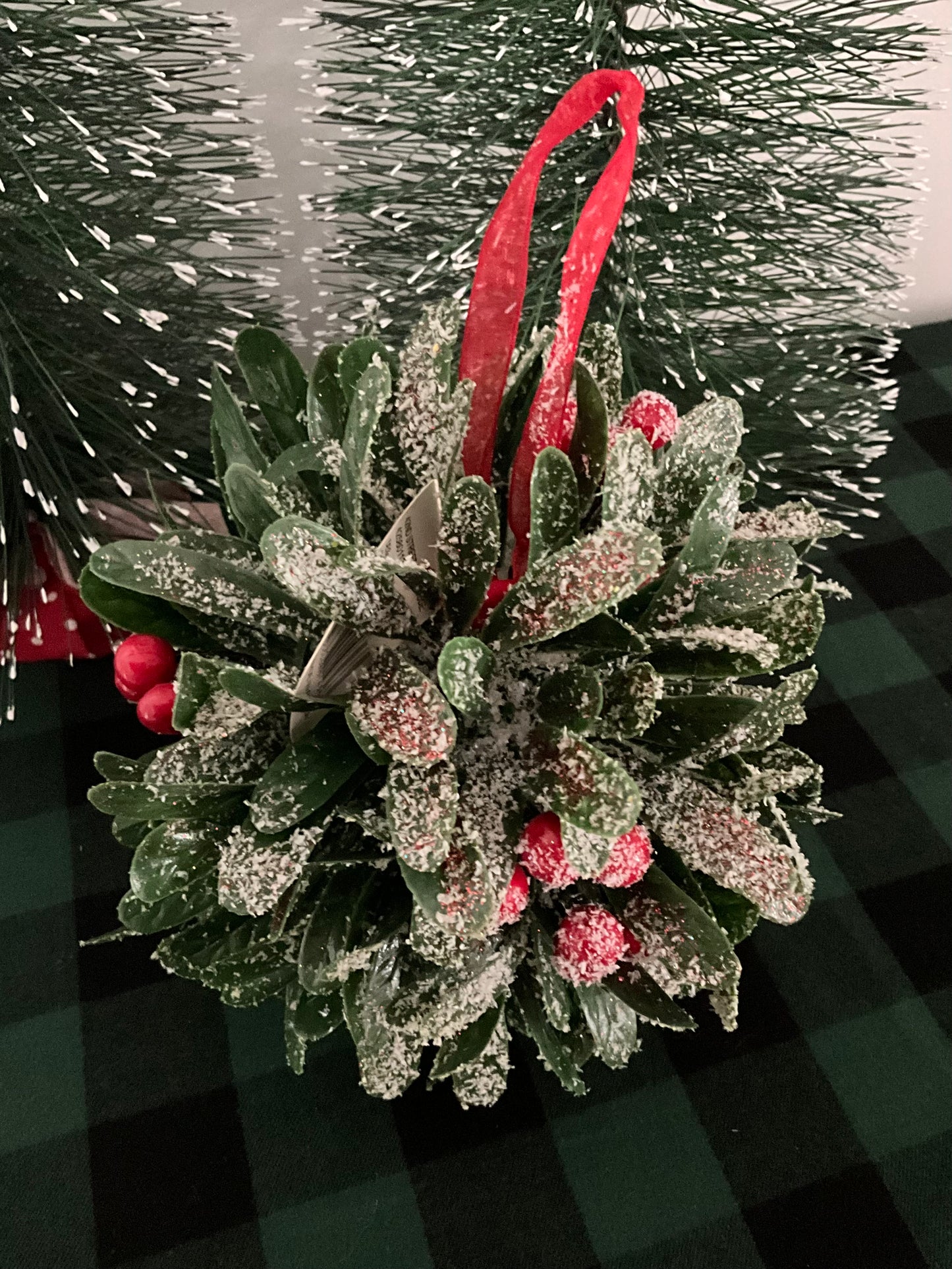 Hanging Frosted Ball