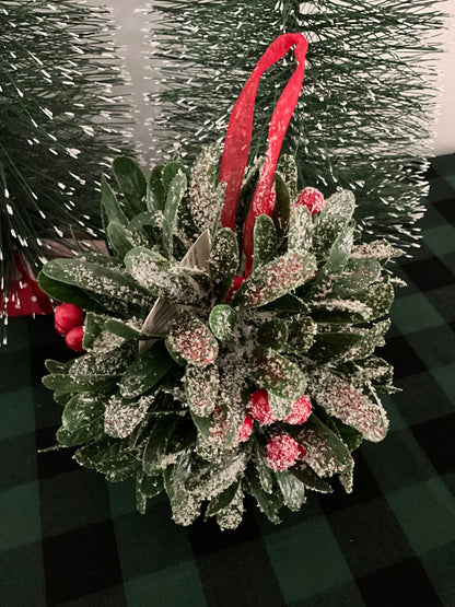 Hanging Frosted Ball