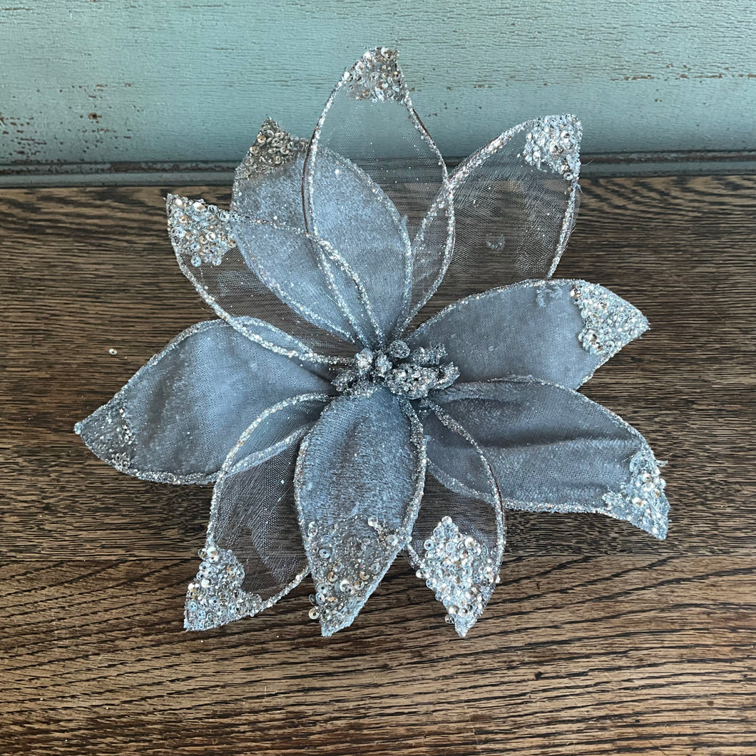 Silver Velvet Poinsettia