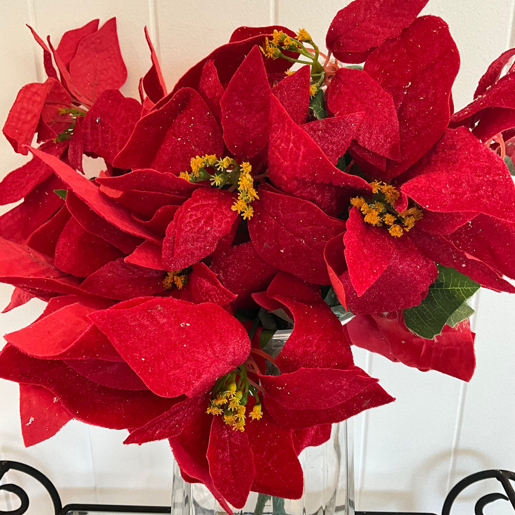 Poinsettia Bunch