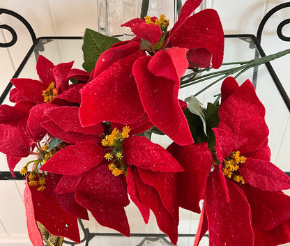 Poinsettia Bunch