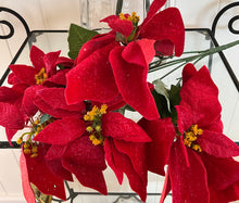 Load image into Gallery viewer, Poinsettia Bunch